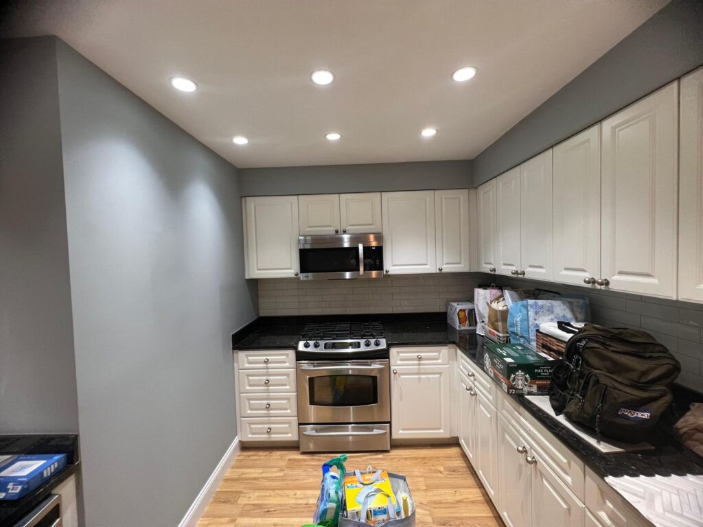 Professional painting