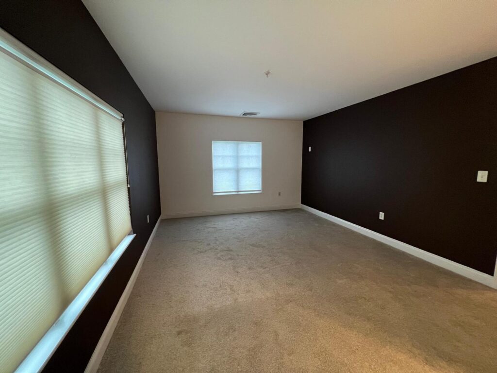 Professional Painting Services